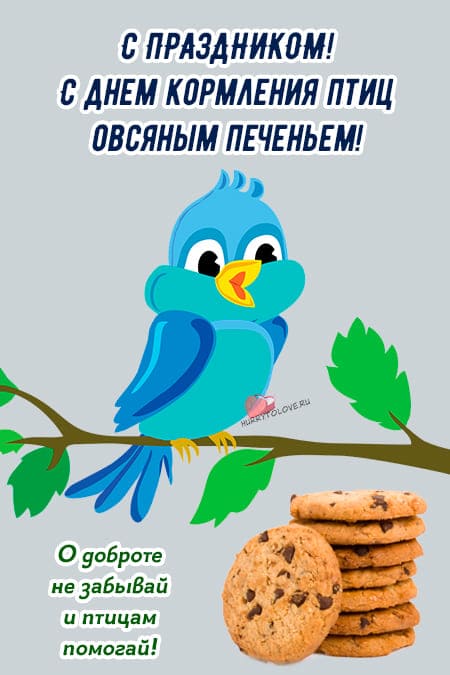 День кормления птиц овсяным печеньем - картинки прикольные на 2 ноября 2023