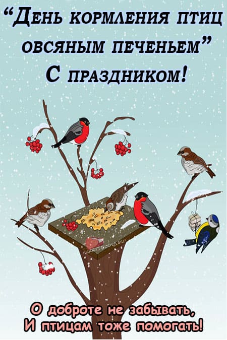 День кормления птиц овсяным печеньем - картинки прикольные на 2 ноября 2022