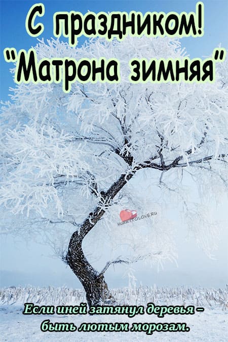 Матрёны зимние - картинки с надписями, поздравления на 22 ноября 2023