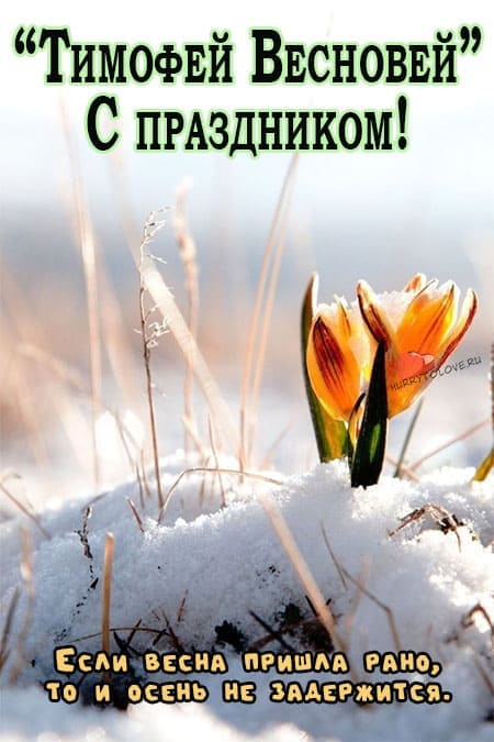 Тимофей Весновей - картинки с надписями на 6 марта 2024
