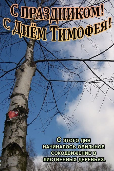 Тимофей Весновей - картинки с надписями на 6 марта 2024