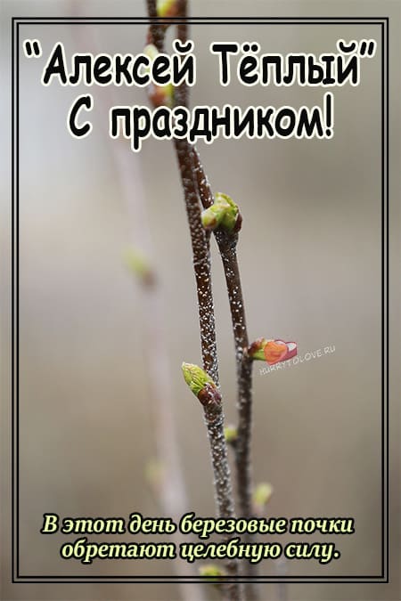 Алексей Тёплый - картинки с надписями, поздравления на 30 марта 2024