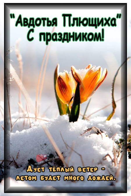 Авдотья Весновка - картинки с надписями на 14 марта 2024
