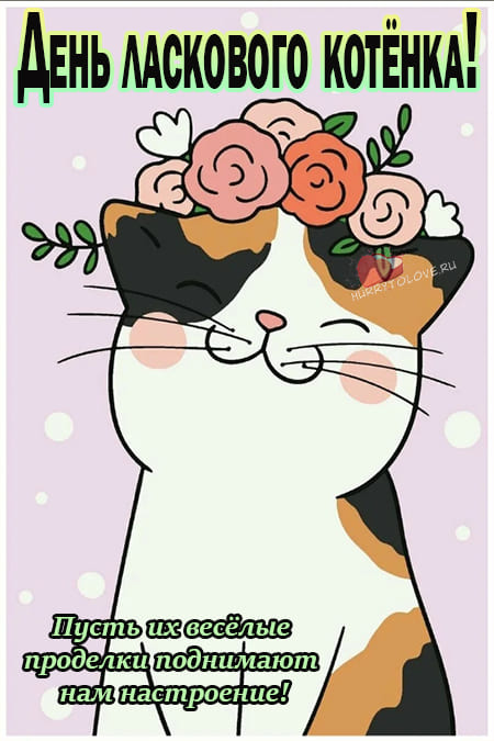 День ласкового котёнка - картинки красивые и смешные на 23 марта 2024