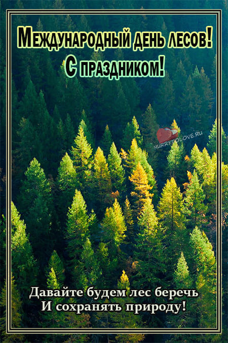 Международный день лесов - картинки с надписями на 21 марта 2024