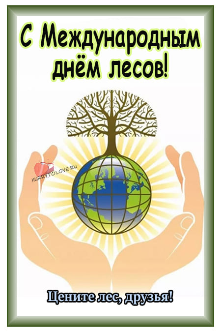 Международный день лесов - картинки с надписями на 21 марта 2024