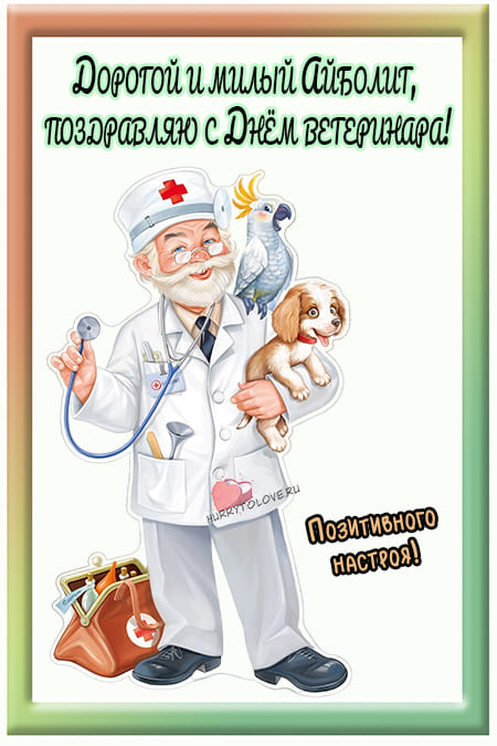 Международный день ветеринарного врача - картинки прикольные на 27 апреля 2024