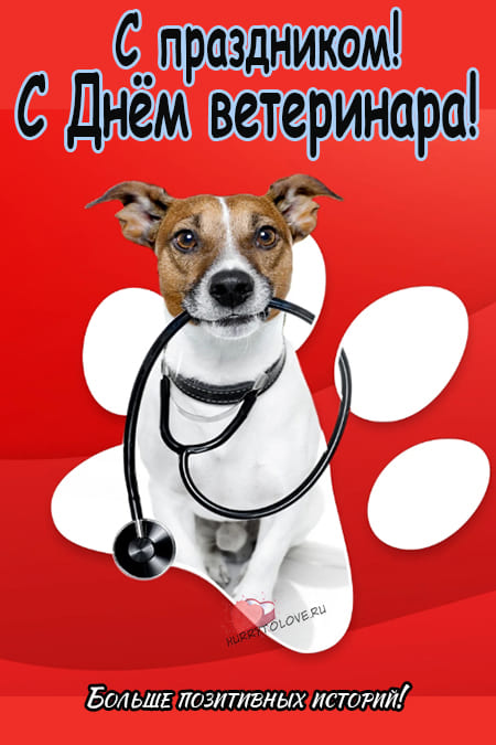 Международный день ветеринарного врача - картинки прикольные на 27 апреля 2024