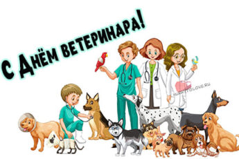 Международный день ветеринарного врача, картинка поздравление.