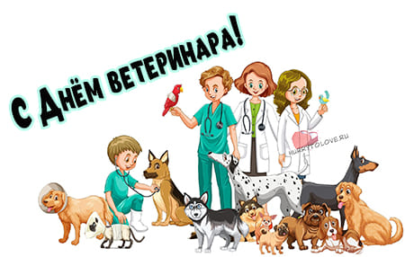 Международный день ветеринарного врача, картинка поздравление.
