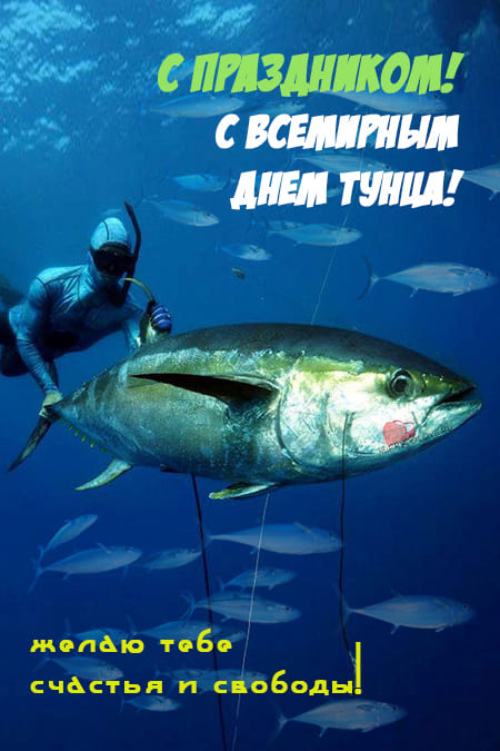 Всемирный день тунца - картинки прикольные, поздравления на 2 мая 2024