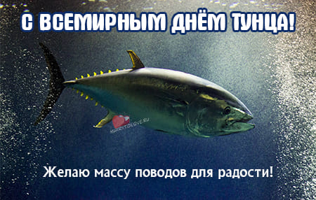 Всемирный день тунца, картинка поздравление.