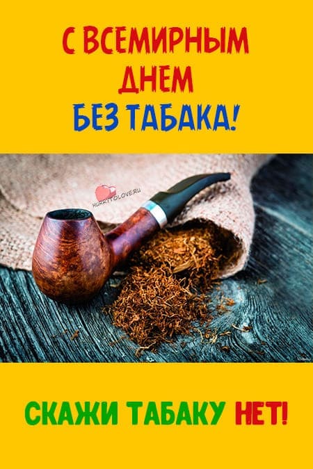 Всемирный день без табака - прикольные картинки с надписями на 31 мая 2024