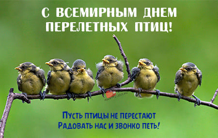 День перелетных птиц, картинка поздравление.