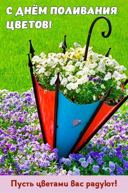 День поливания цветов - красивые и прикольные картинки с надписями на 30 мая 2024