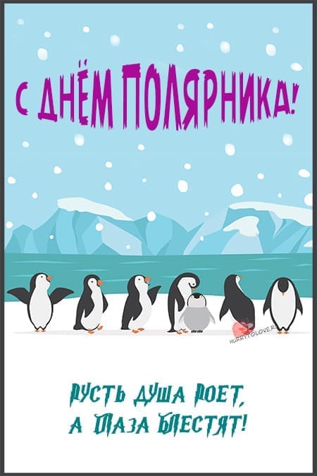 День полярника в России - картинки с надписями, прикольные поздравления 21 мая 2024