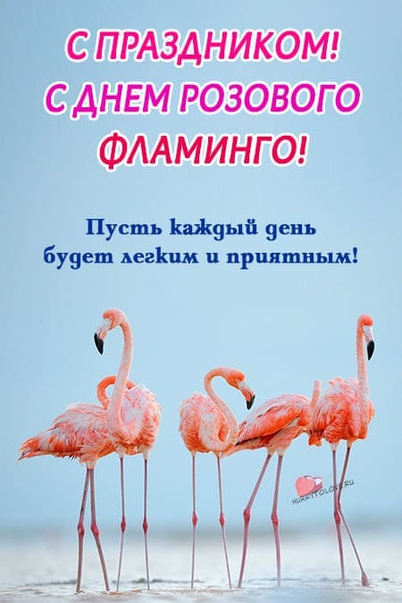 День розового фламинго - красивые картинки с надписями на 23 июня 2024