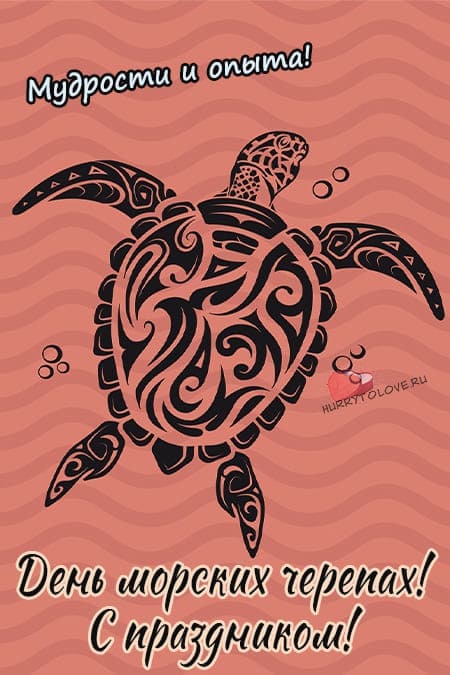 Международный день морской черепахи - картинки с надписями, поздравления на 16 июня 2024