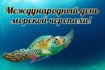 Международный день морской черепахи, картинка поздравление.