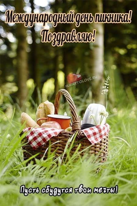 Международный день пикника - прикольные картинки с надписями на 18 июня 2024