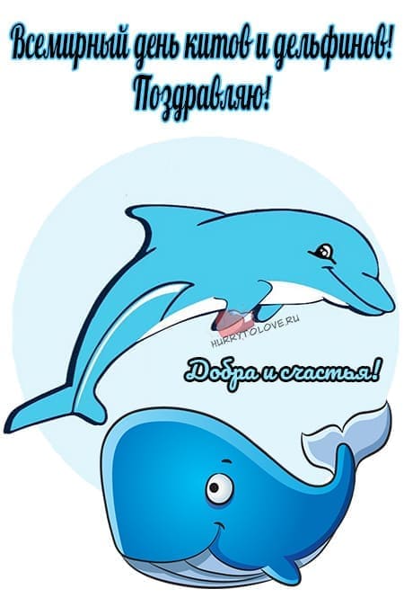 День китов и дельфинов - прикольные картинки с надписями на 23 июля 2024