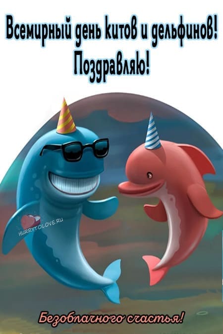 День китов и дельфинов - прикольные картинки с надписями на 23 июля 2024