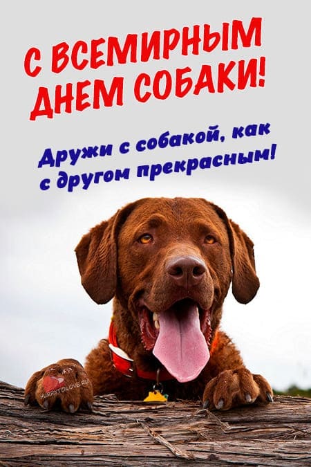 Всемирный день собаки - прикольные картинки с надписями на 2 июля 2024