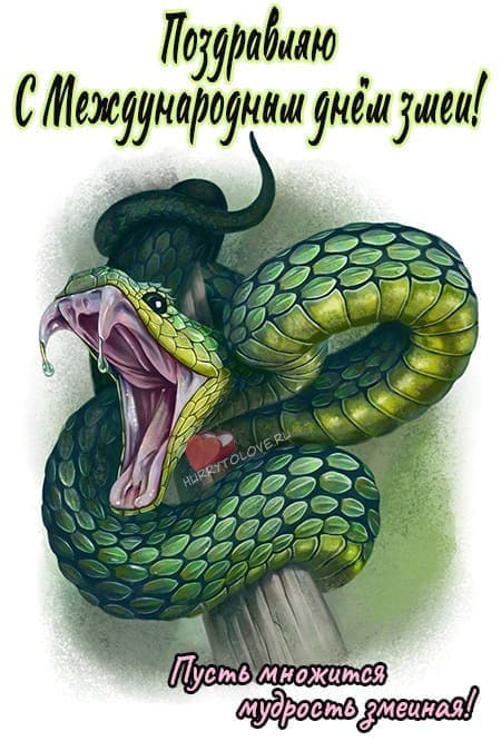Всемирный день змеи - прикольные картинки с надписями на 16 июля 2024