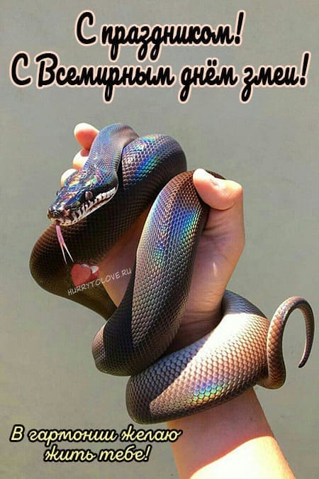 Всемирный день змеи - прикольные картинки с надписями на 16 июля 2024