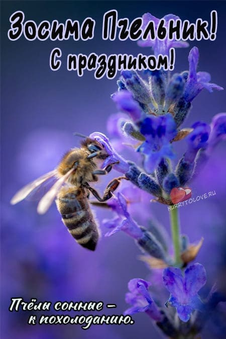 Зосима Пчельник - картинки с надписями, поздравления на 2 июля 2024