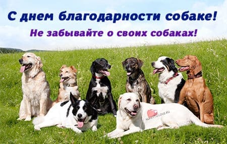 2 июля — Всемирный день собак