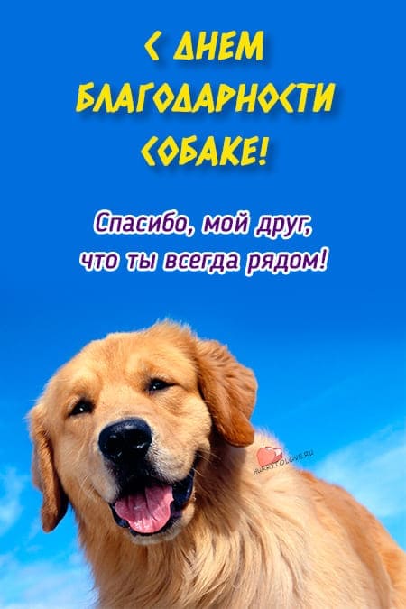 День благодарности собаке - картинки с надписями, поздравления на 26 августа 2024