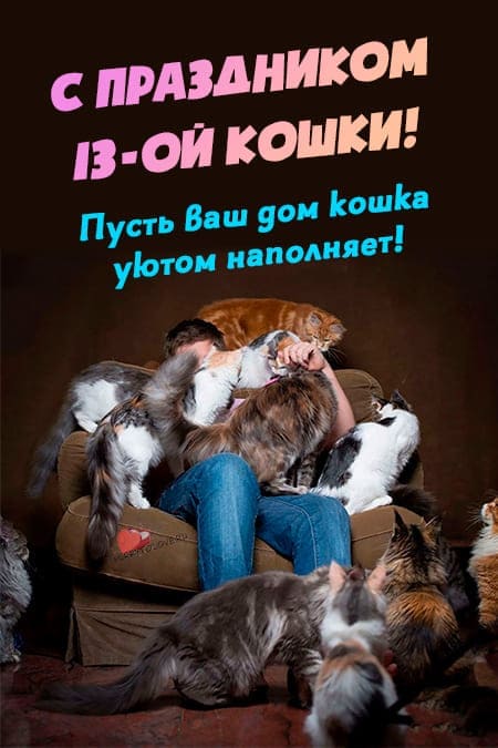 Праздник тринадцатой кошки - прикольные картинки с надписями на 26 августа 2024