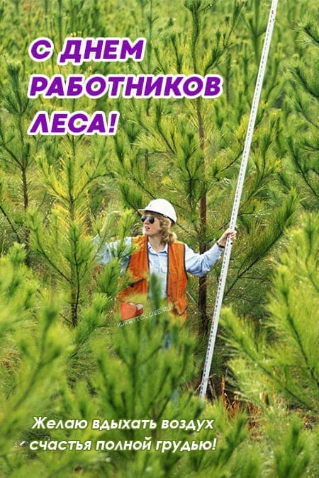 День работников леса - прикольные картинки на 15 сентября 2024