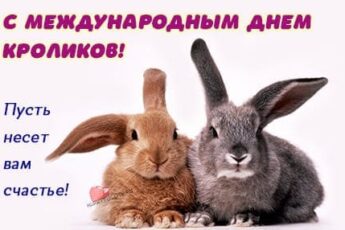 Международный день кролика, картинка для поздравления.