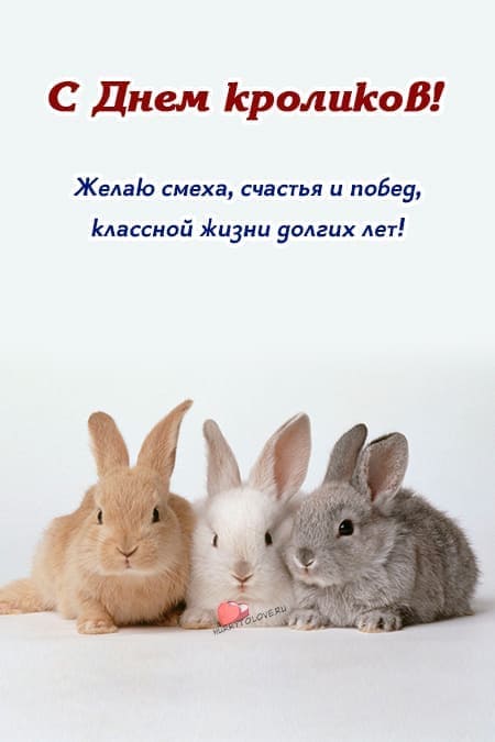 Международный день кролика - картинки с надписями на 28 сентября 2024