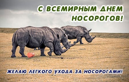 Всемирный день носорога, картинка для поздравления на праздник.