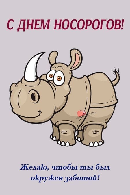 Всемирный день носорогов - прикольные картинки на 22 сентября 2024