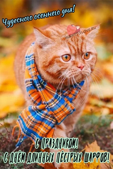 День длинных пестрых шарфов - прикольные картинки на 29 октября 2023