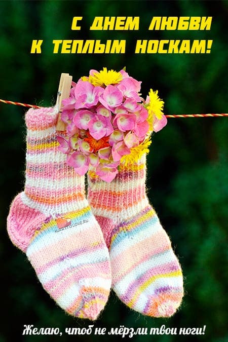 День любви к теплым носкам - картинки с надписями на 24 октября 2023