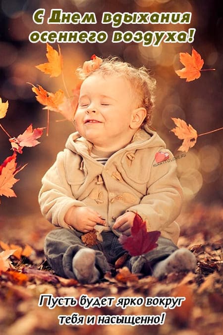 День вдыхания осеннего воздуха - прикольные картинки на 11 октября 2023