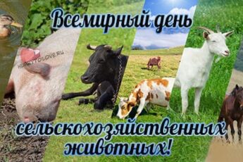 День сельскохозяйственных животных, картинка на 2 октября.