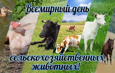 День сельскохозяйственных животных, картинка на 2 октября.