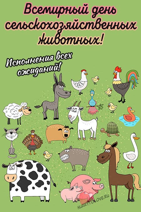 Всемирный день сельскохозяйственных животных - прикольные картинки на 2 октября 2024