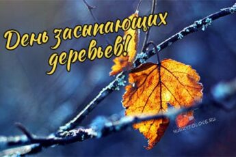 День засыпающих деревьев, картинка для поздравления на 13 октября.