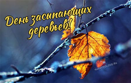 День засыпающих деревьев, картинка для поздравления на 13 октября.