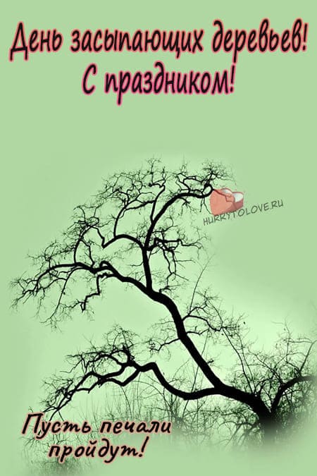 День засыпающих деревьев - картинки с надписями на 13 октября 2024