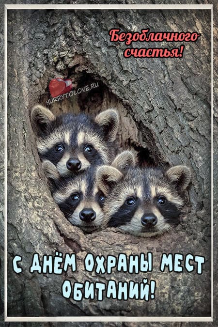 Всемирный день охраны мест обитания - картинки с надписями на 6 октября 2024